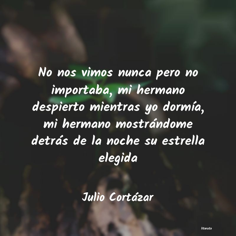 Frases de Julio Cortázar