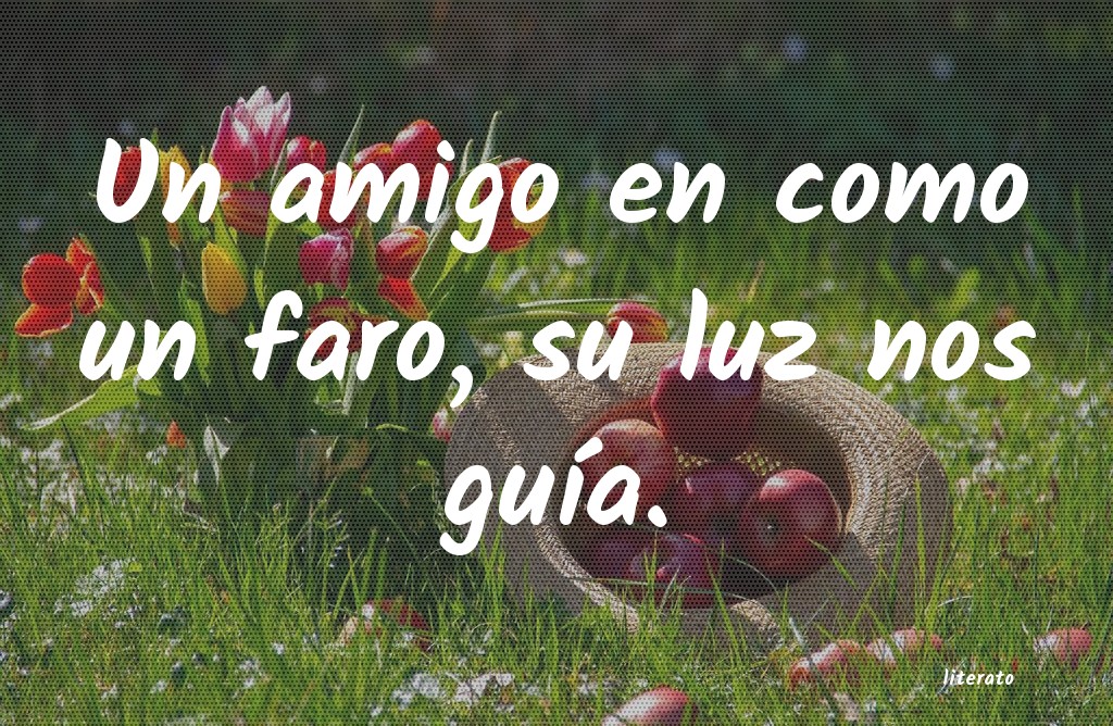 frases