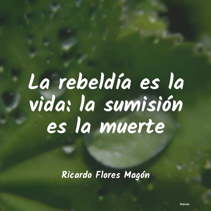 frases de Ricardo Flores Magón