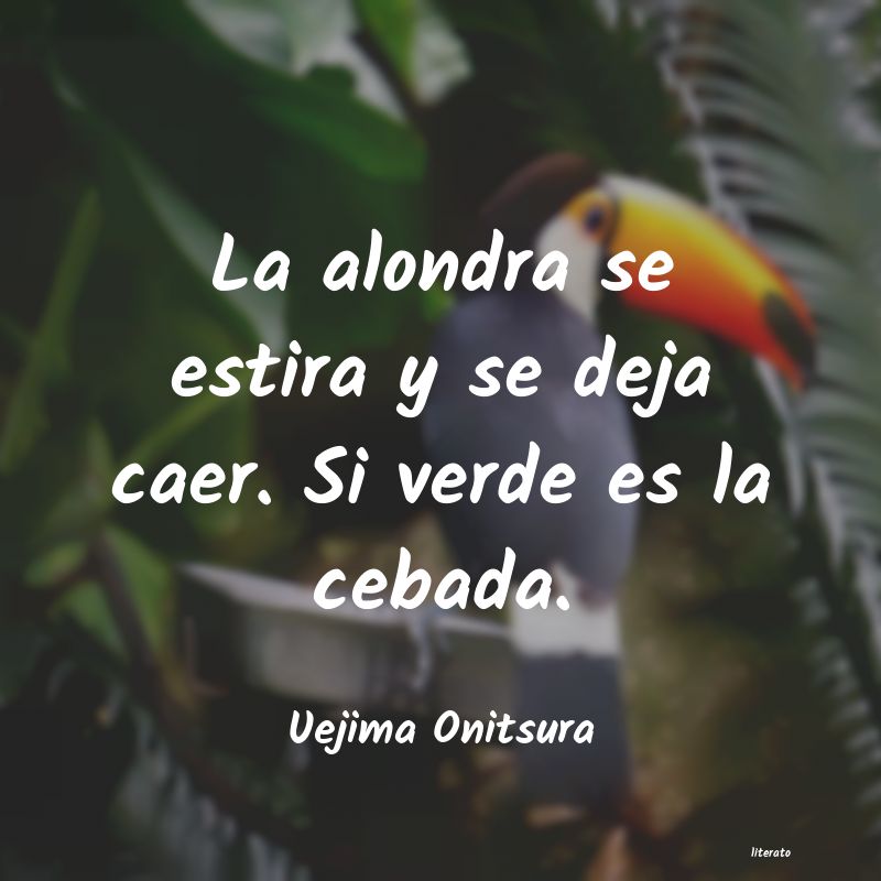 Frases de Uejima Onitsura