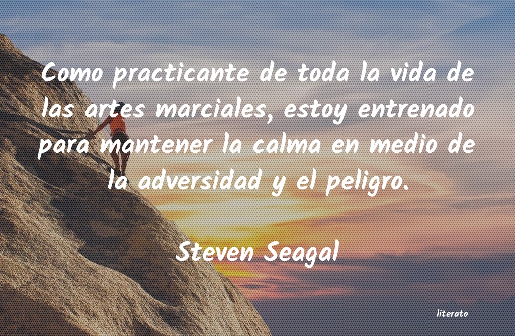 Frases de Steven Seagal