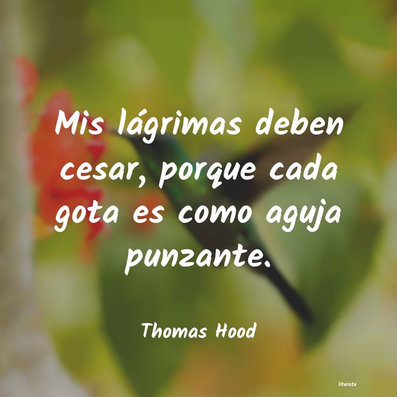 frases de Thomas Hood