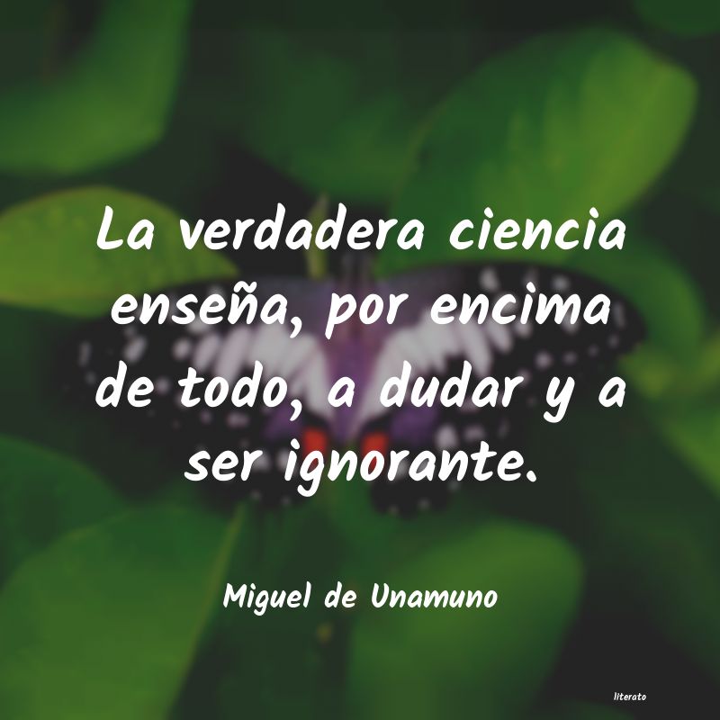 Frases de Miguel de Unamuno