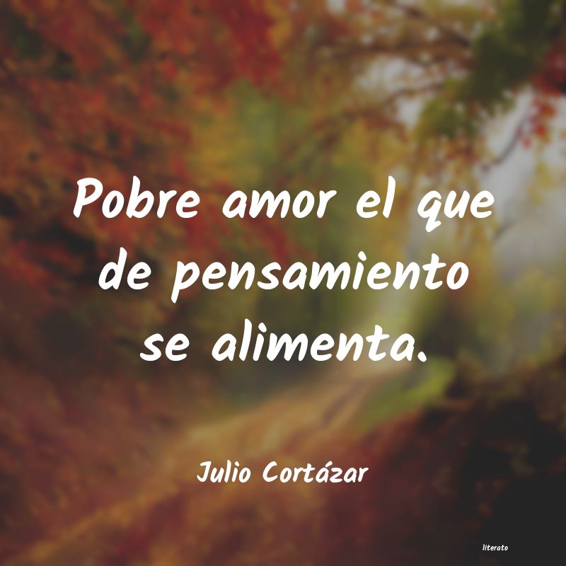 Frases de Julio Cortázar