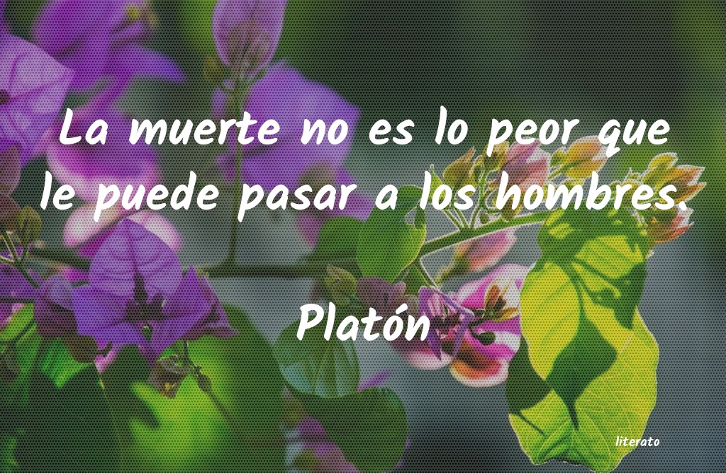 Frases de Platón