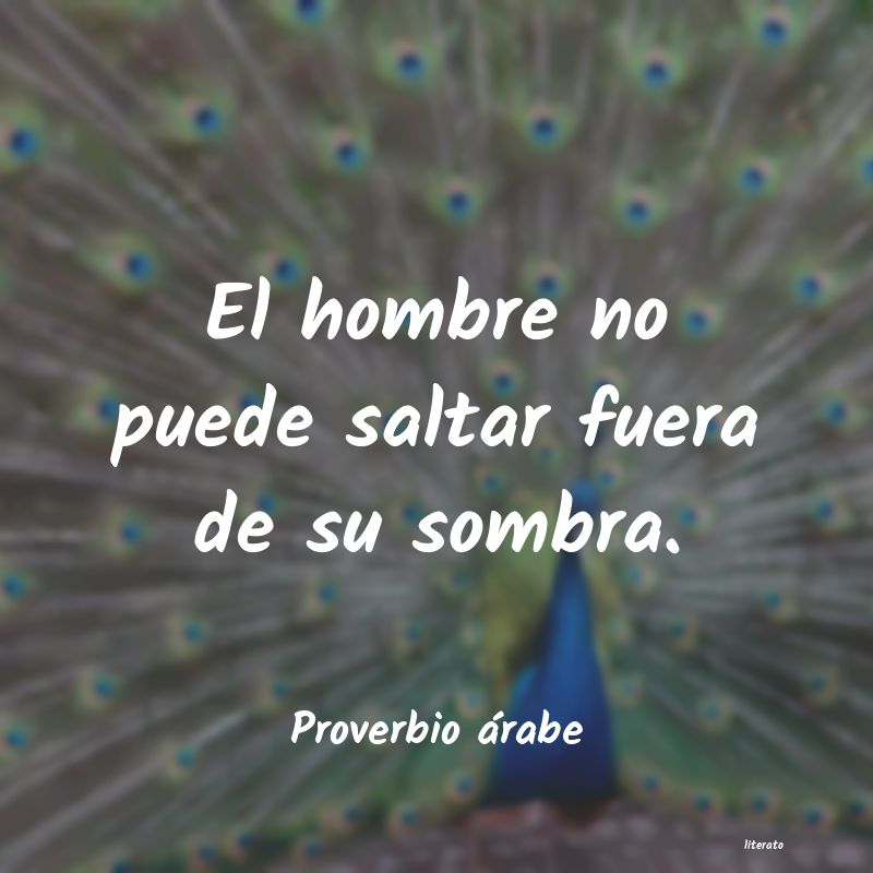 Frases de Proverbio árabe