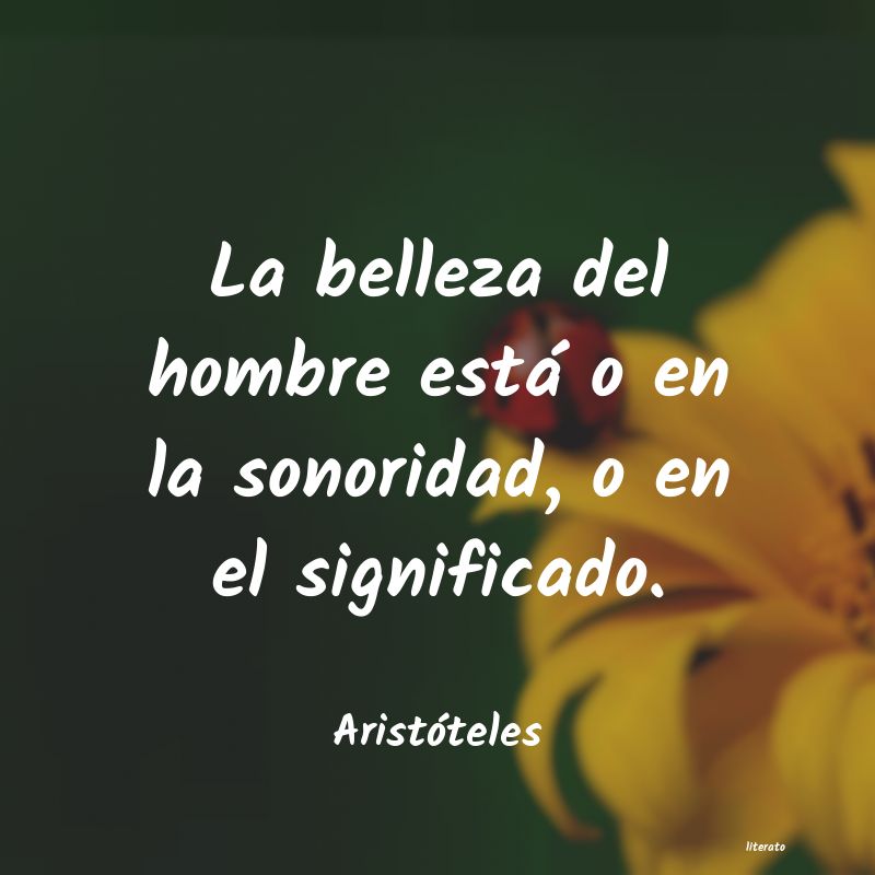 frases de Aristóteles