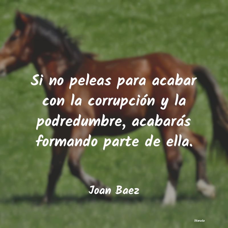 Frases de Joan Baez