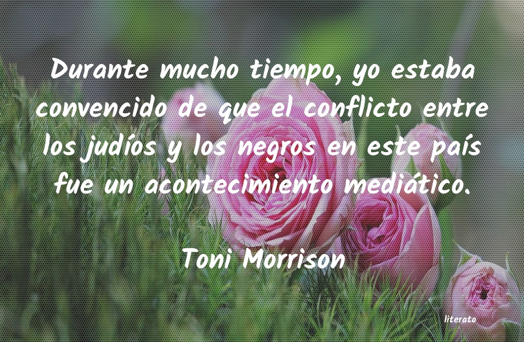 Frases de Toni Morrison