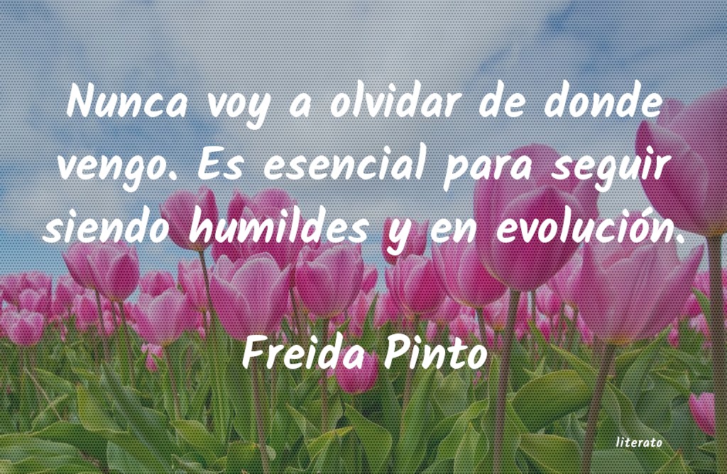 Frases de Freida Pinto