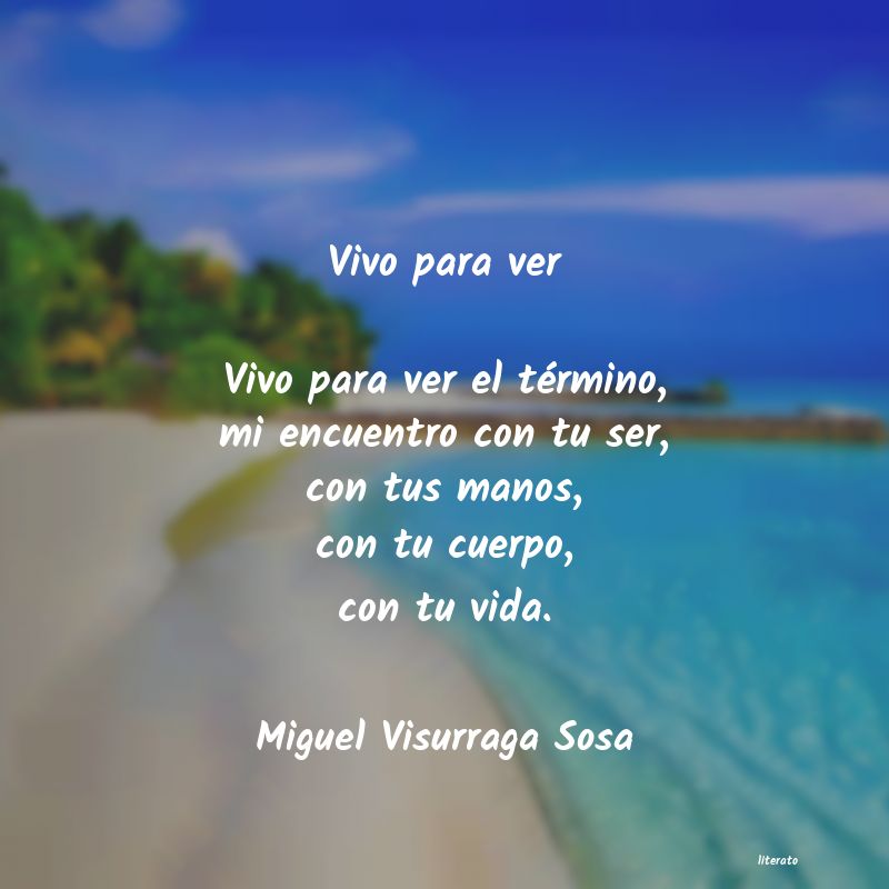 Frases de Miguel Visurraga Sosa