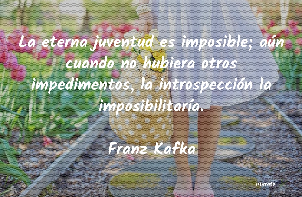 Frases de Franz Kafka