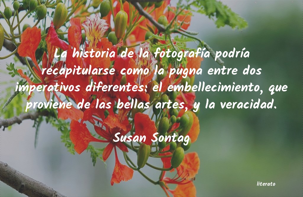 frases de Susan Sontag