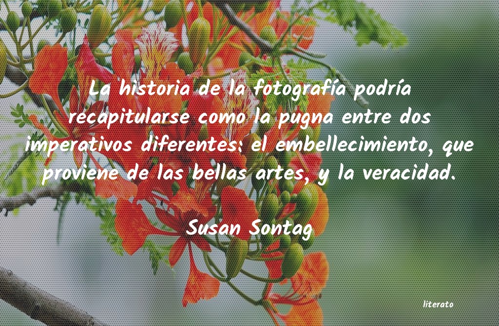 Frases de Susan Sontag