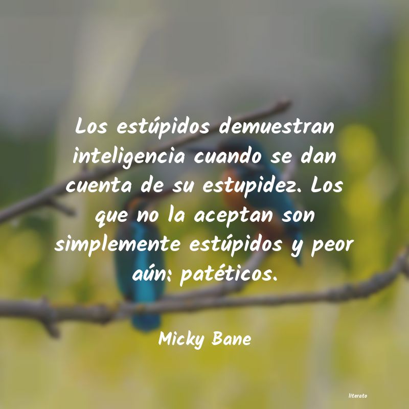 Frases de Micky Bane