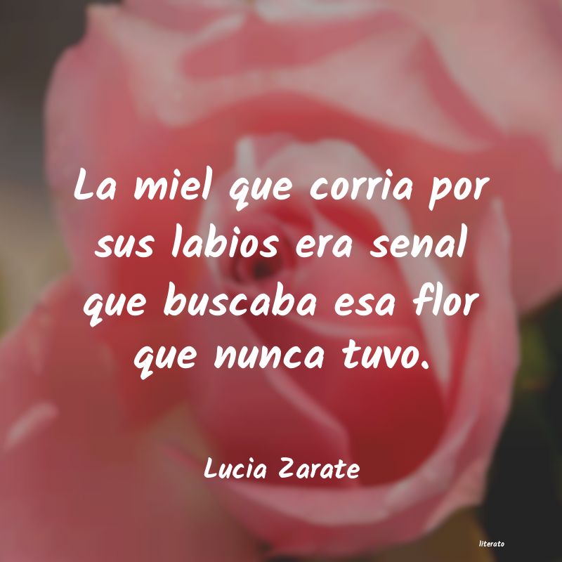 Frases de Lucia Zarate