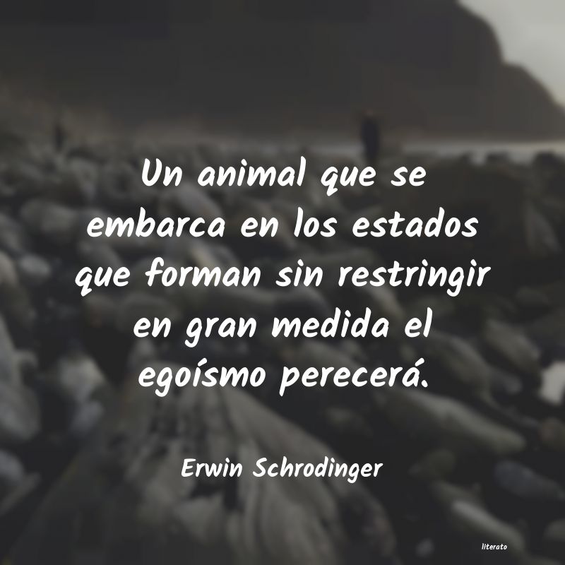frases de Erwin Schrodinger