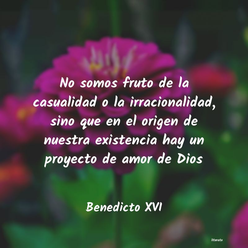 Frases de Benedicto XVI