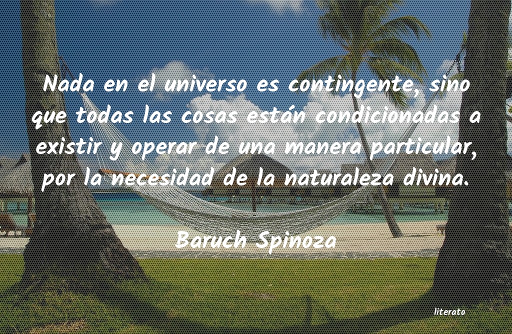 Frases de Baruch Spinoza