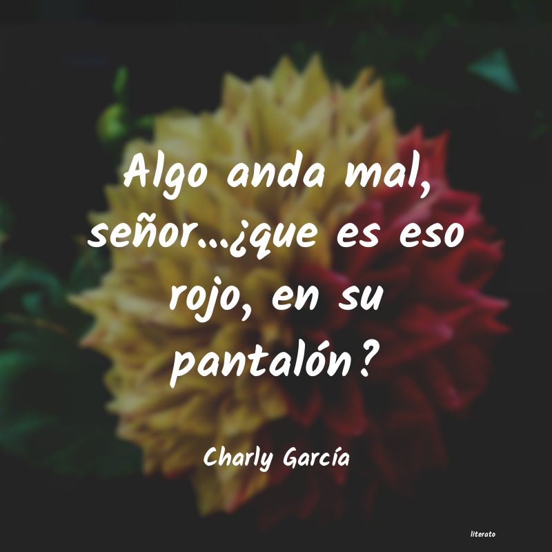 frases de Charly GarcÃa