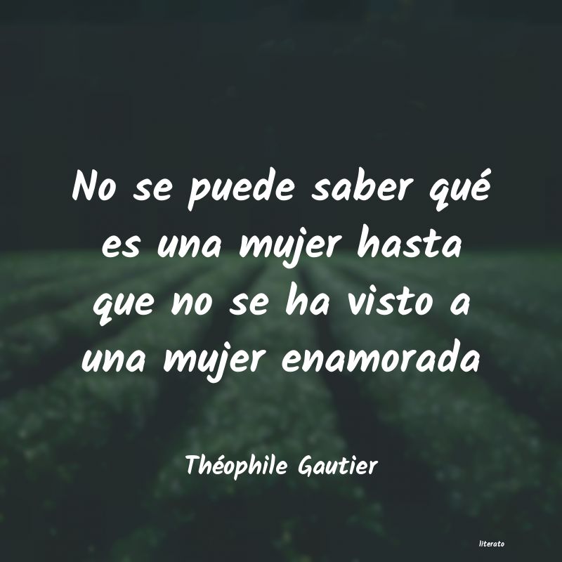 Frases de Théophile Gautier