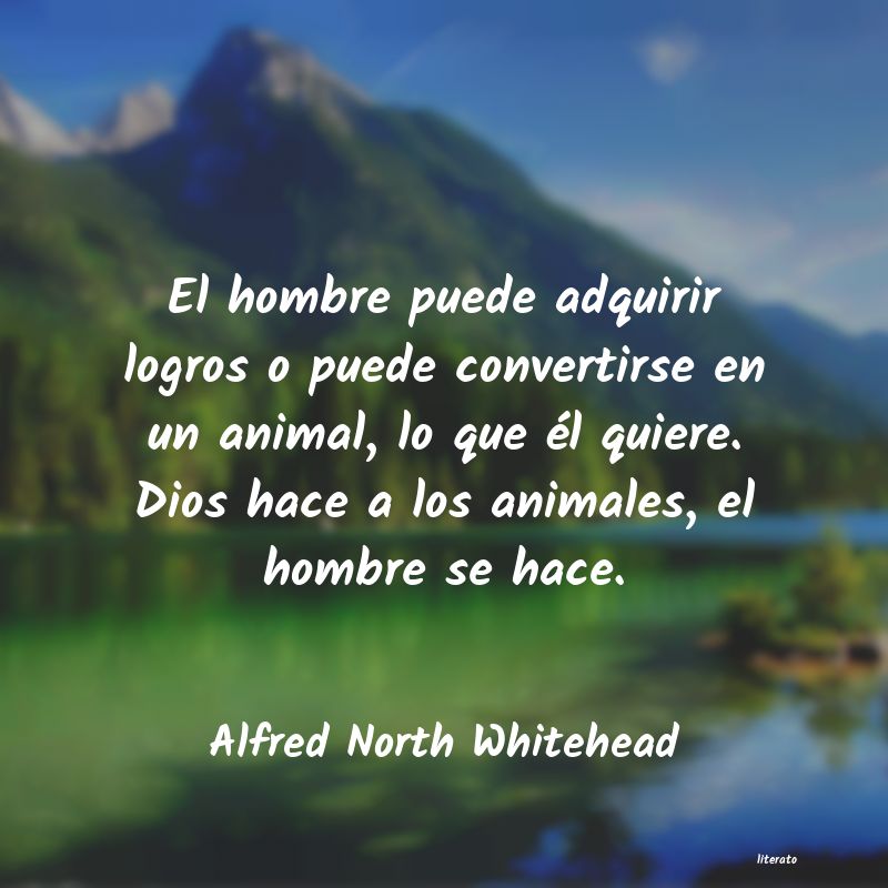 Frases de Alfred North Whitehead