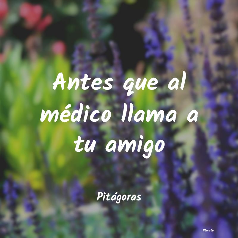 frases de Pitágoras