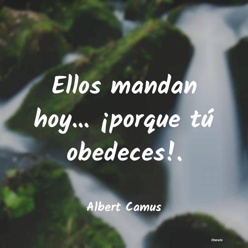 frases de Albert Camus