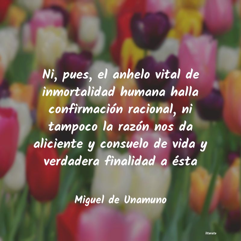 frases de Miguel de Unamuno