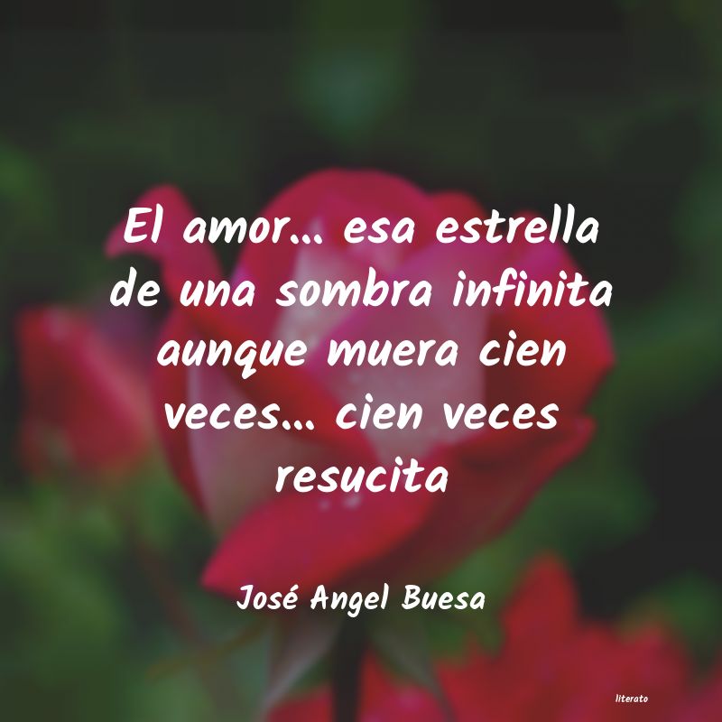 Frases de José Angel Buesa