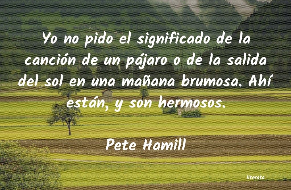 frases de Pete Hamill
