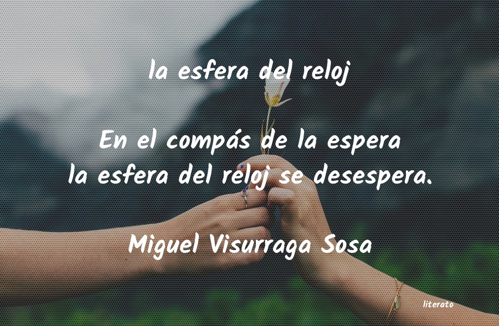 Frases de Miguel Visurraga Sosa