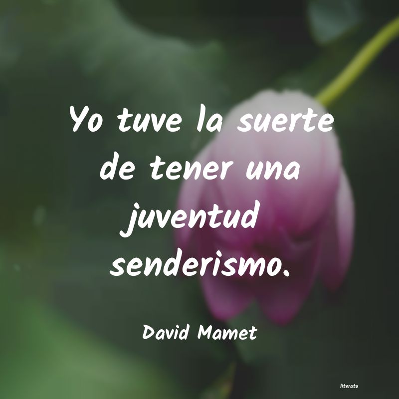 Frases de David Mamet