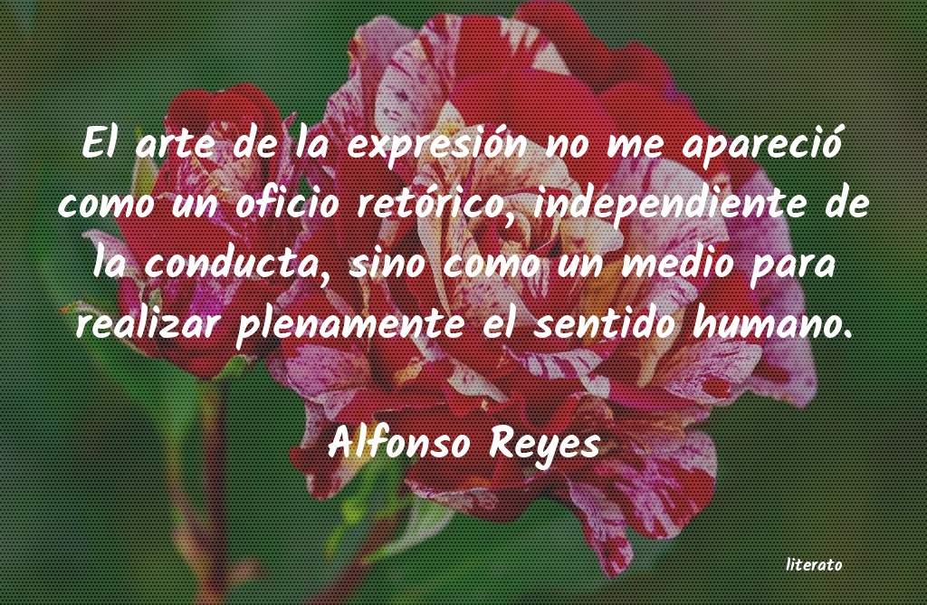 Frases de Alfonso Reyes