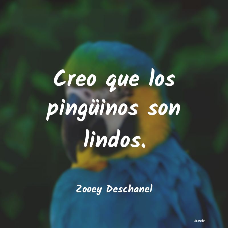 frases de Zooey Deschanel