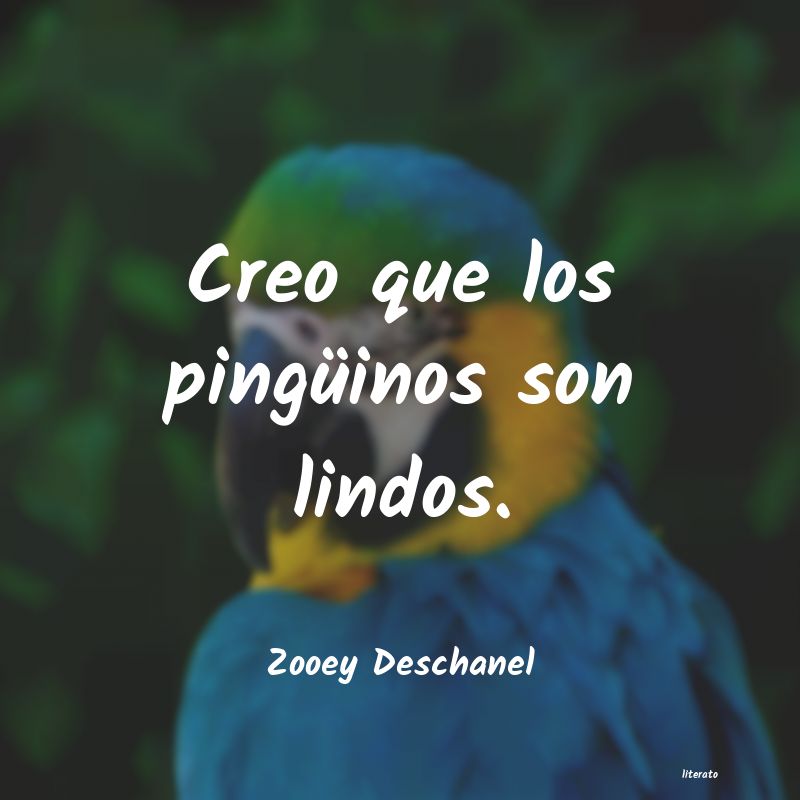 Frases de Zooey Deschanel