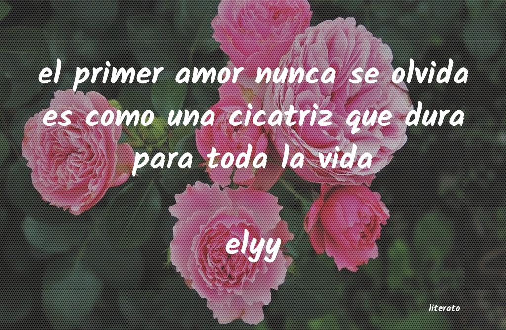 Frases de elyy