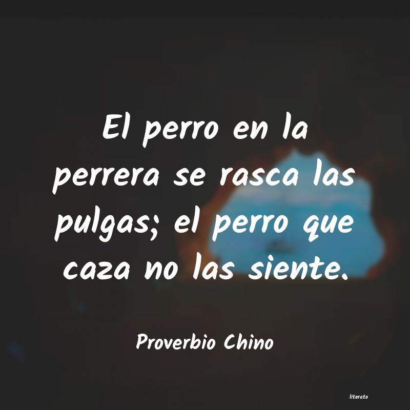 Frases de Proverbio Chino