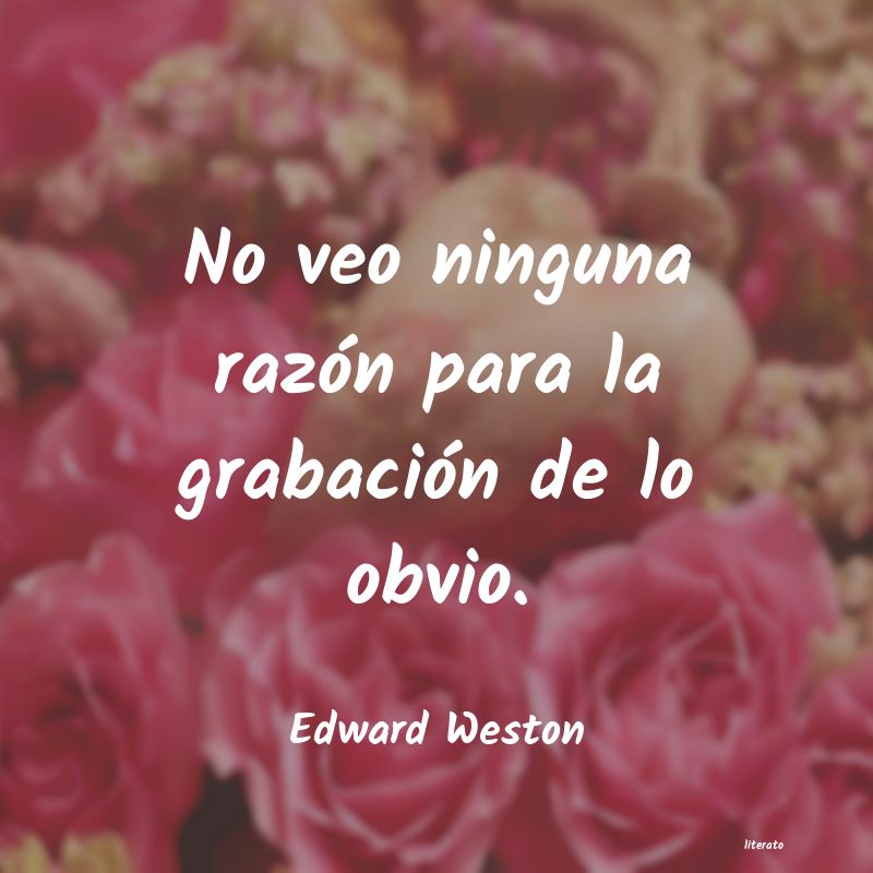 frases de Edward Weston