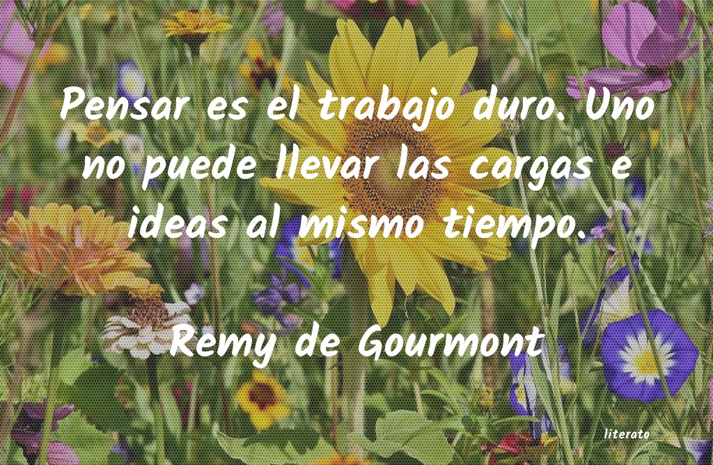 frases de Remy de Gourmont