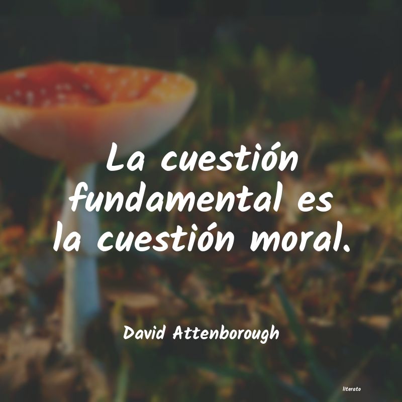 frases de David Attenborough