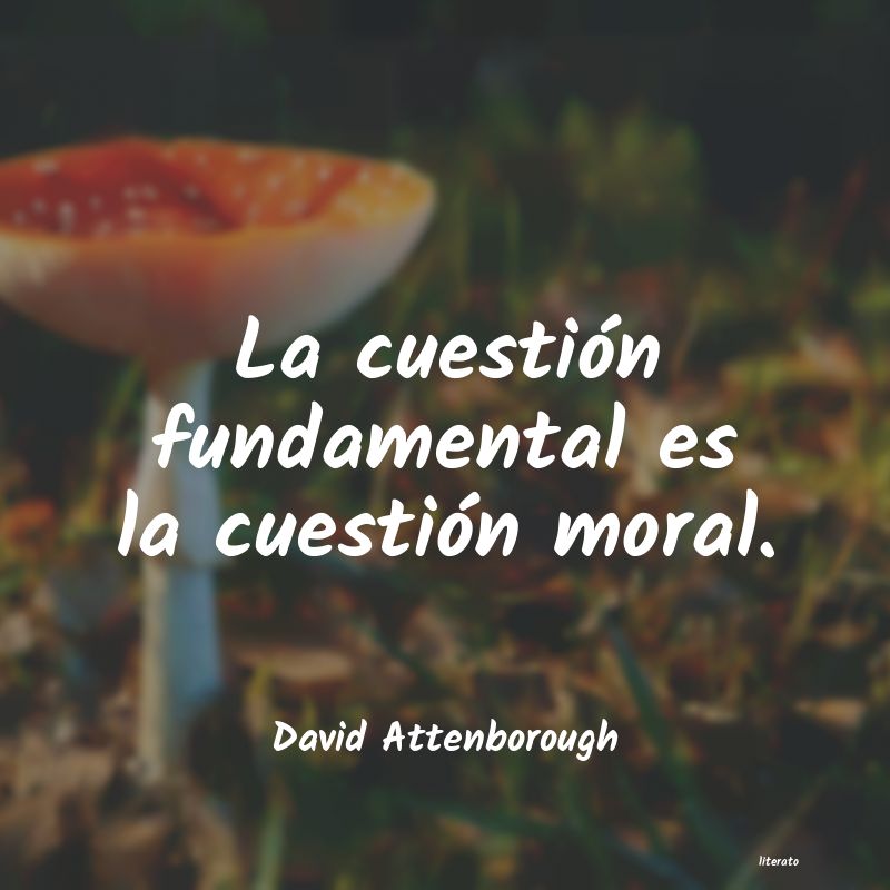 Frases de David Attenborough