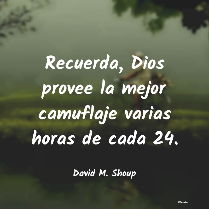 Frases de David M. Shoup