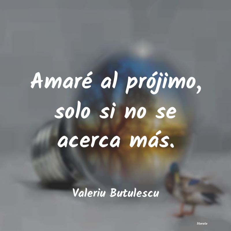 Frases de Valeriu Butulescu