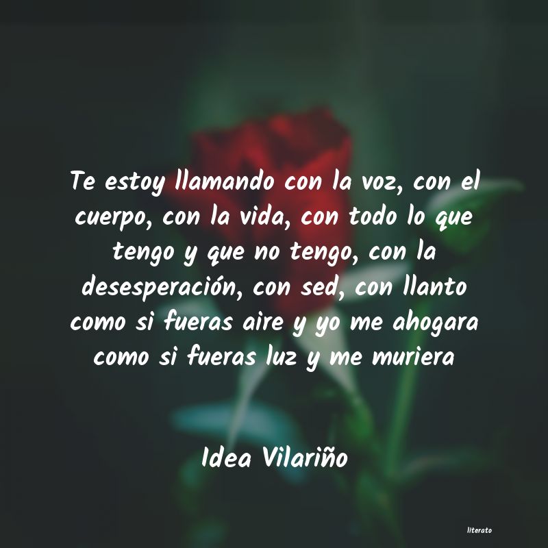 Frases de Idea Vilariño