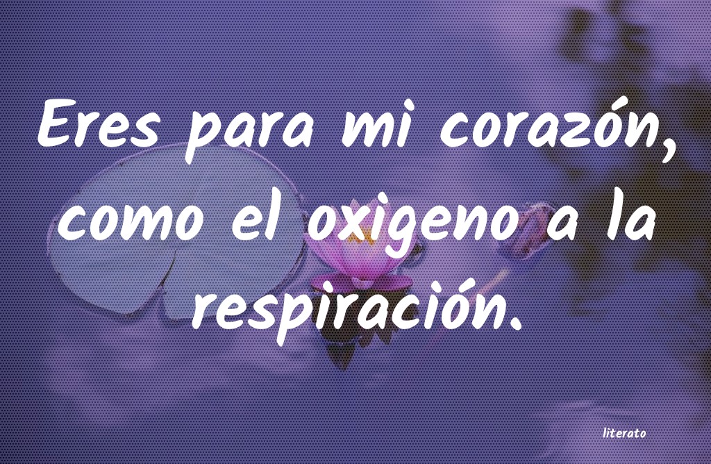 frases