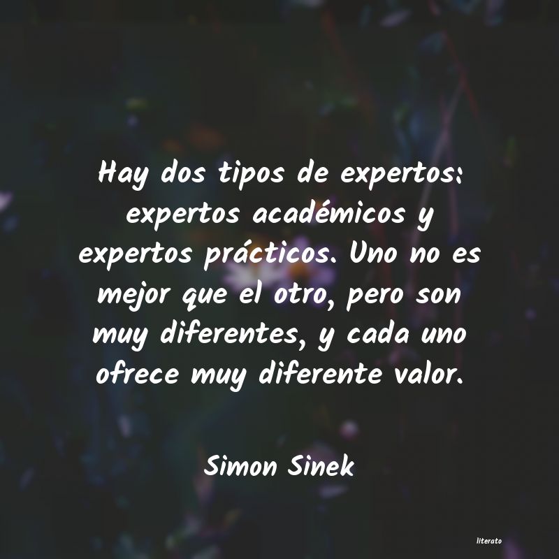 Frases de Simon Sinek