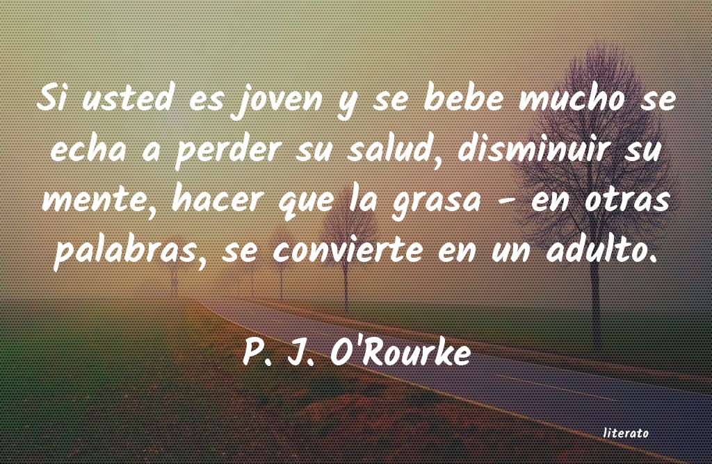 Frases de P. J. O'Rourke