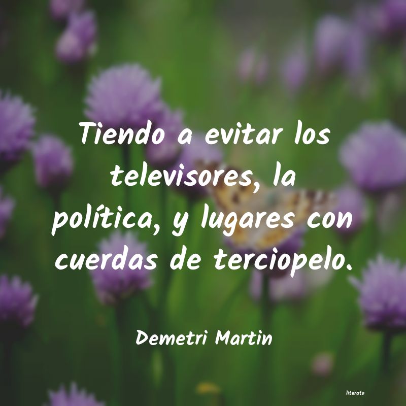 Frases de Demetri Martin