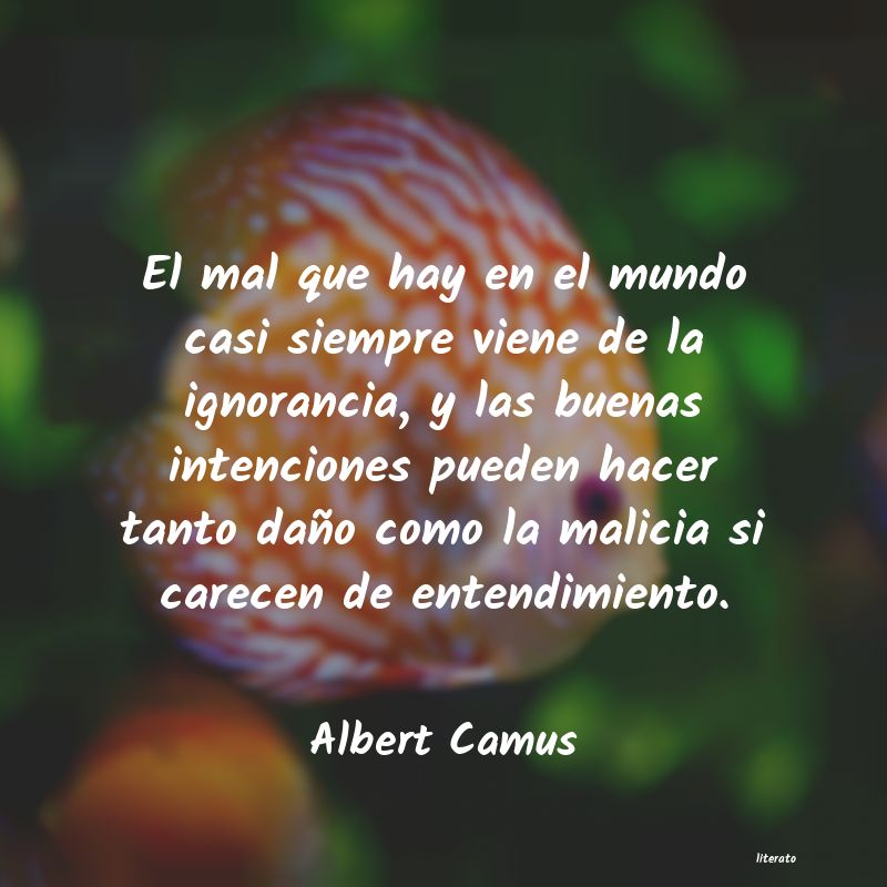 frases de Albert Camus